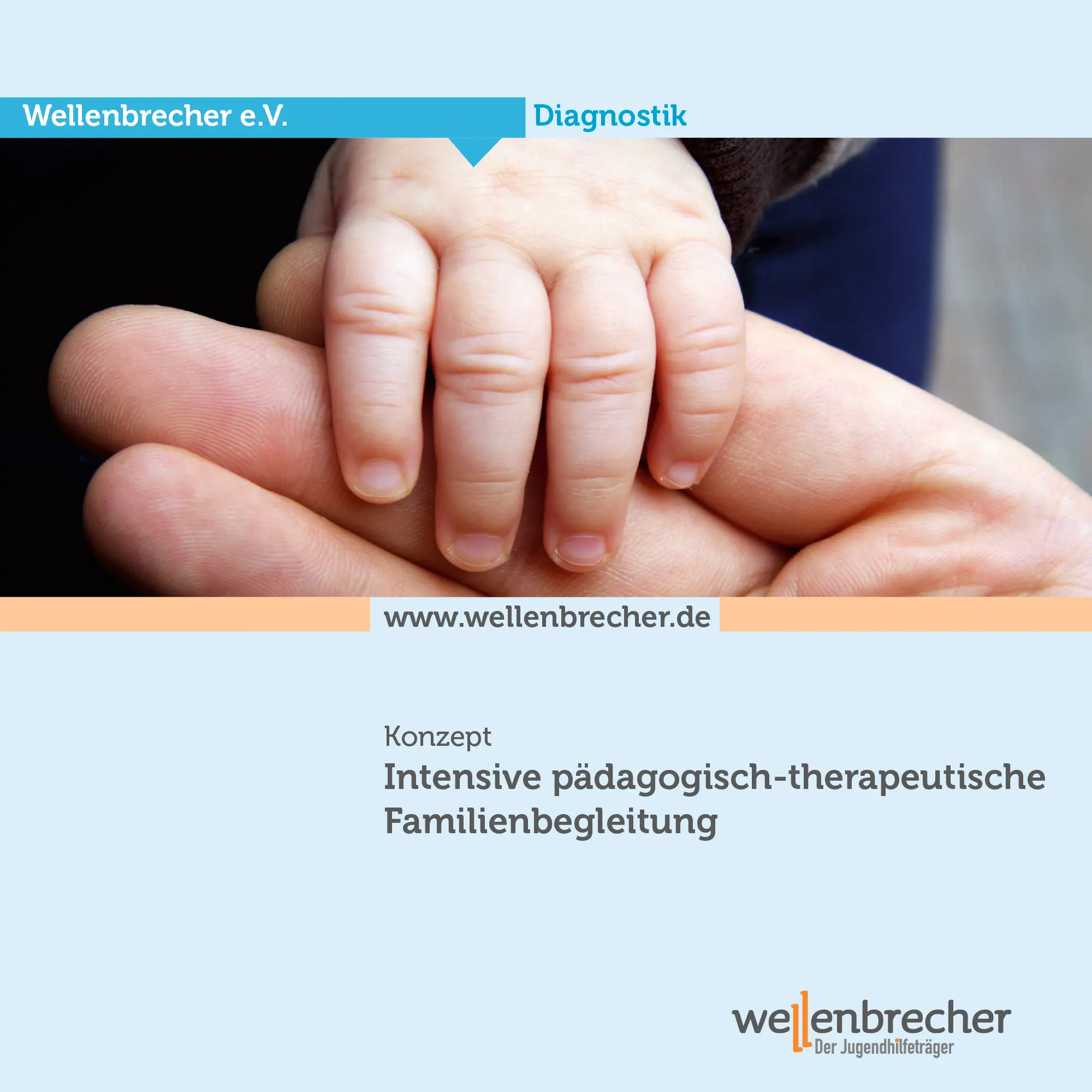 Download Konzeption Intensive pädagogisch-therapeutische Familienbegleitung