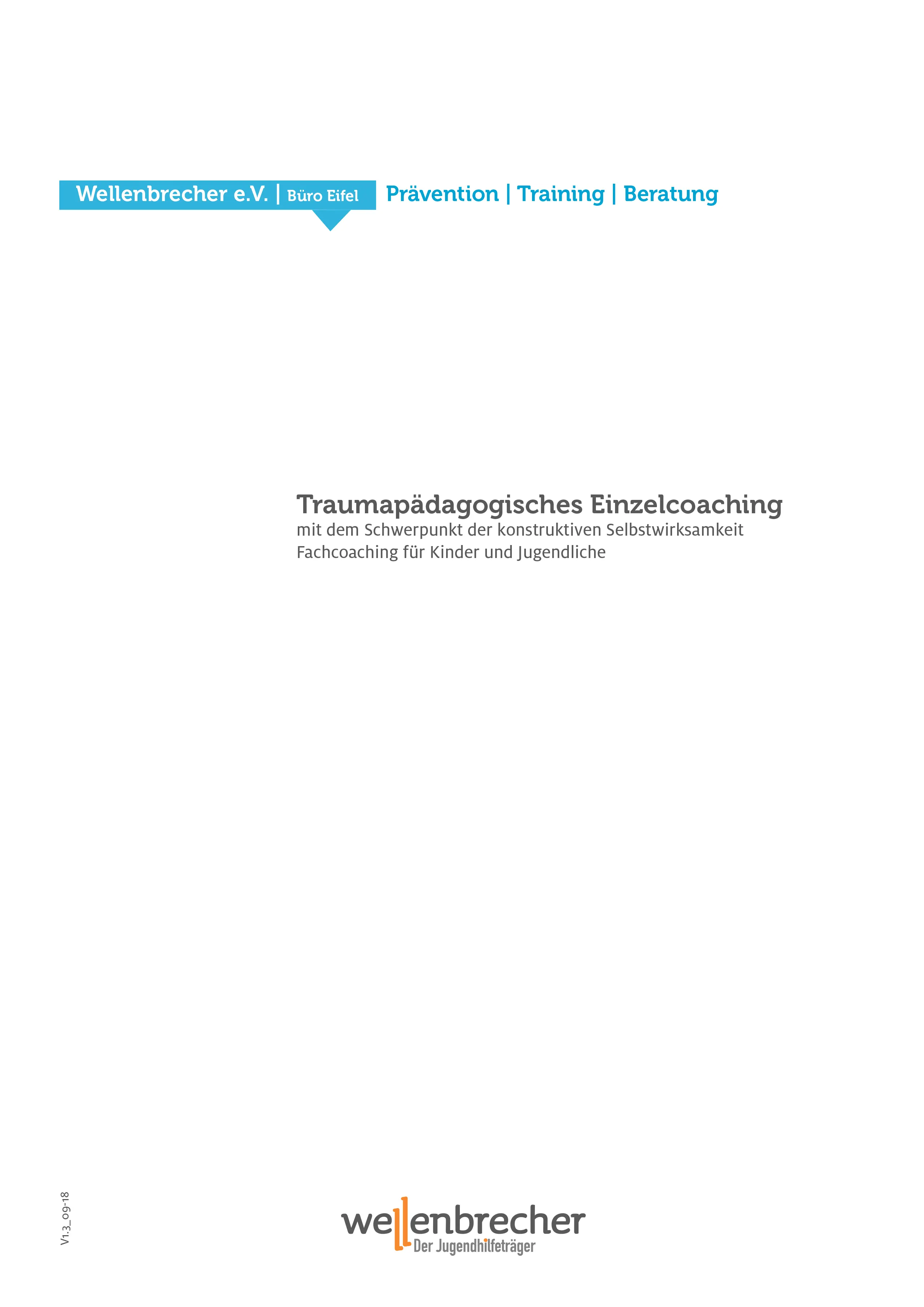 Titelseite Fortbildung Traumapädagogisches Einzelcoaching